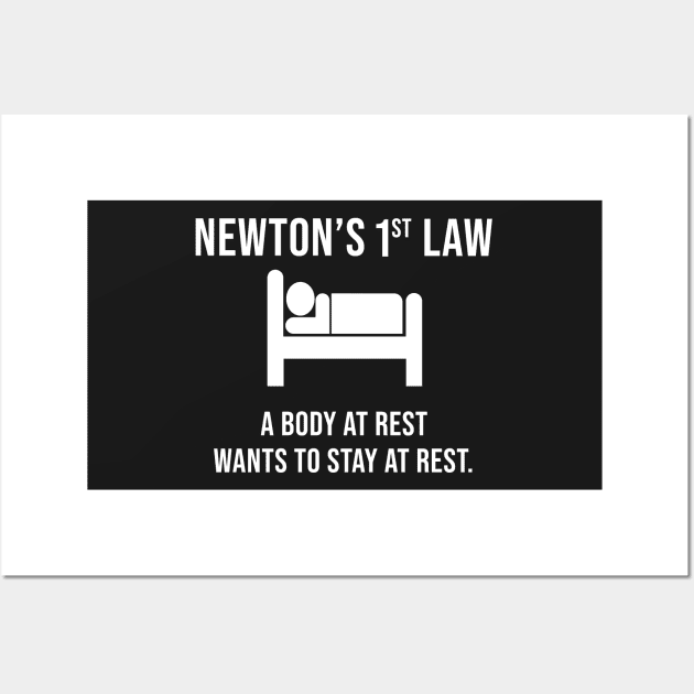 Newton's First Law- Funny Physics Joke Wall Art by ScienceCorner